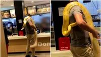 VIDEO FABULOS | Apariție de infarct la McDonald’s! Un român a venit cu un piton uriaș pe umăr, ca să își cumpere McPuișor: „Nici soacrele nu mai sunt ce au fost”