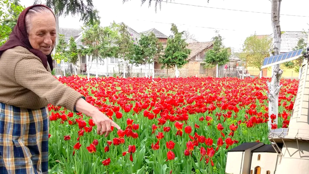 Casa ei a devenit loc de ”pelerinaj”! Ce a apărut în grădina unei maramureșence