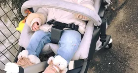 Galerie foto - poza 4