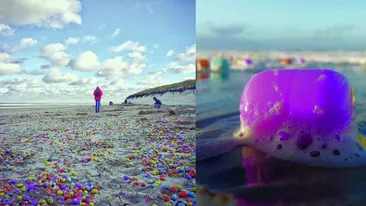 Asta da surpriză! Se întâmplă doar în filme. Mii de ouă Kinder au apărut peste noapte pe o plajă din Germania