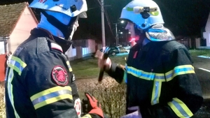 Foto emoționant. Cățelul scos din flăcări tremură în mâinile pompierului