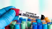 13 pacienți, infectați cu tulpina Delta, au fost internați la Spitalul de Boli Infecțioase Iași. Patru dintre ei se află la ATI