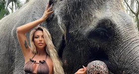 Galerie foto - poza 3