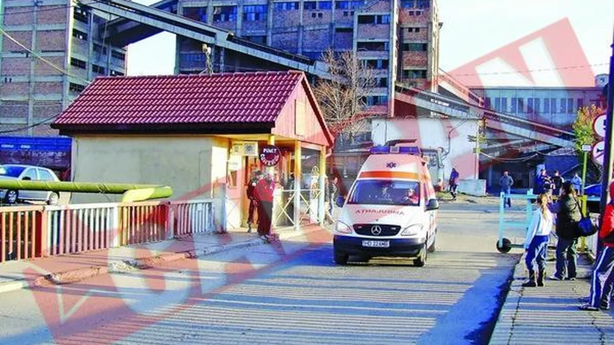 Ranitii de la Petrila au sanse mici de supravietuire