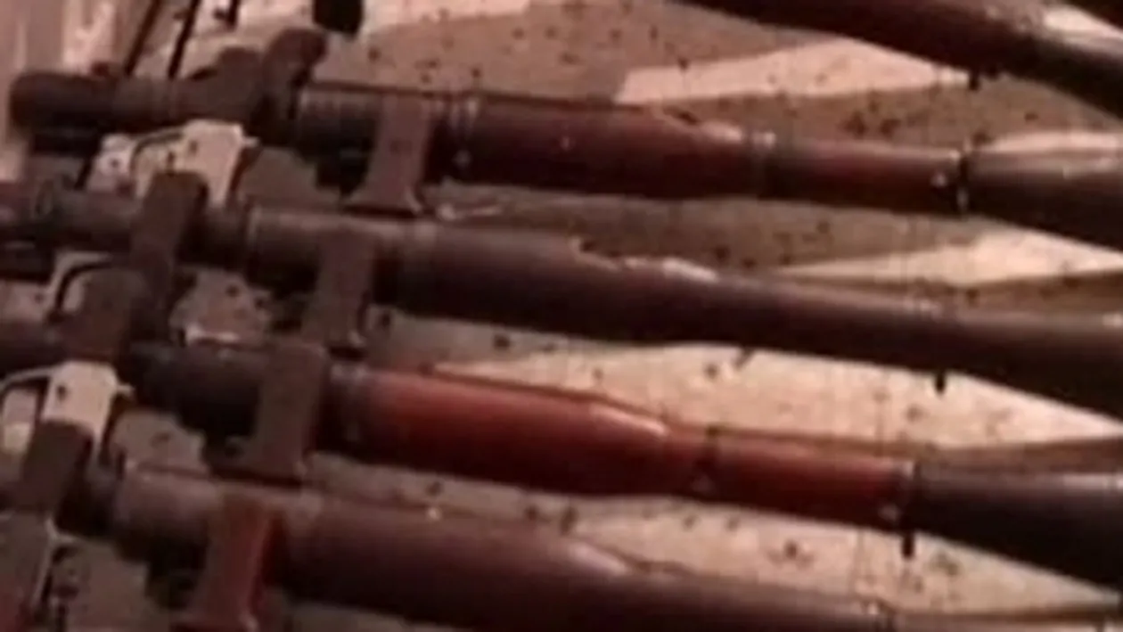 60 de focoase gasite in lazi, intr-o fantana secata, alte 19 intr-un sac,in padurea Chitila