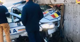 Galerie foto - poza 4