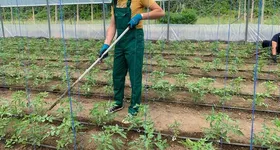 Galerie foto - poza 2