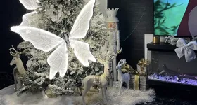 Galerie foto - poza 4