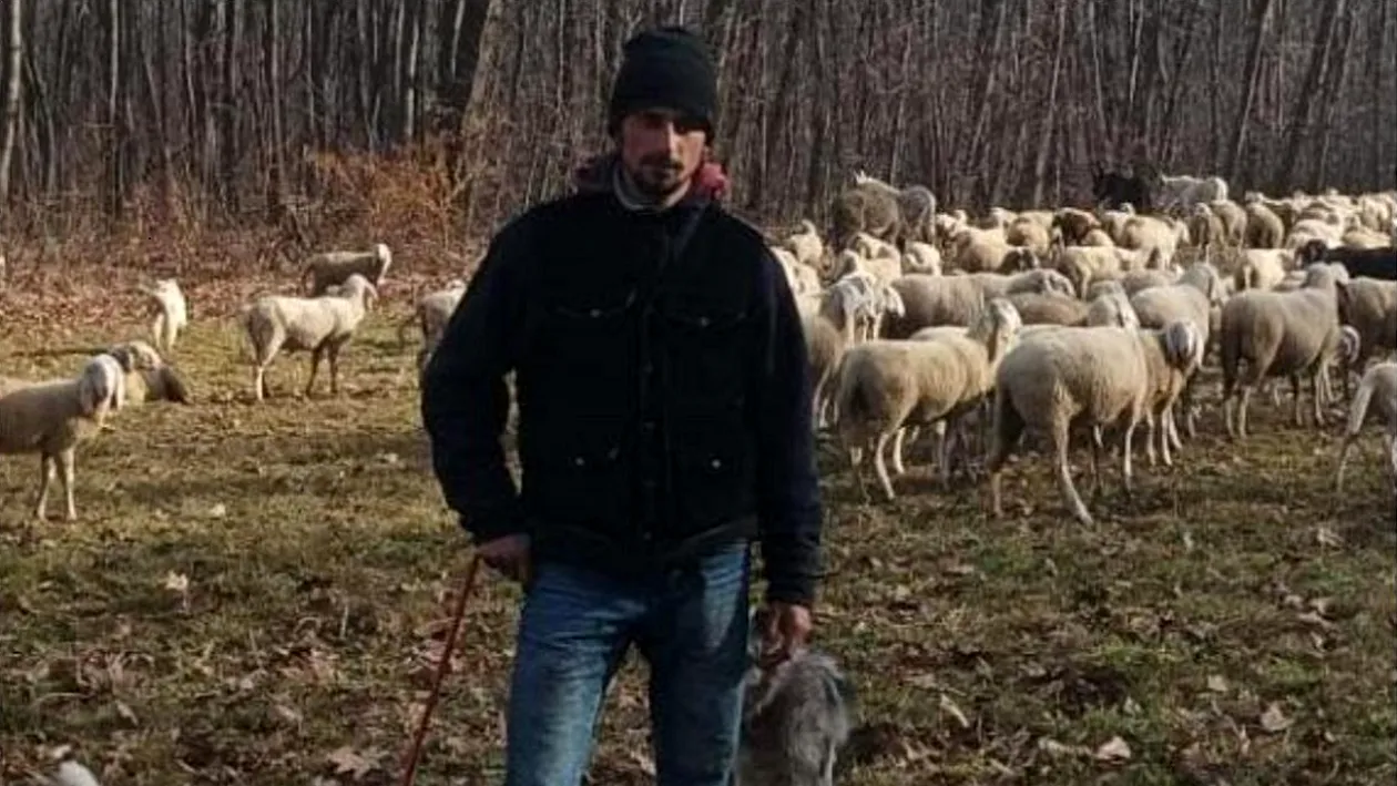 Un italian s-a lăsat de liceu pentru a deveni cioban. De necrezut cați bani face acum, lunar
