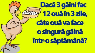 Test de logică | Dacă 3 găini fac 12 ouă în 3 zile, câte ouă va face o singură găină într-o săptămână?
