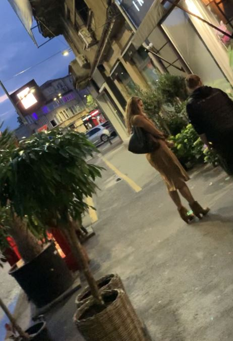 Iulia Vântur caută planta potrivită pentru apartament