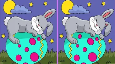 Test de perspicacitate | Acești 2 iepurași de Paște par identici, dar nu sunt. Găsiți 3 diferențe!