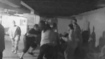 VIDEO Vezi ce bataia isi ia unu', timp de doua minute, de la 15 membri ai gastii din care face parte!