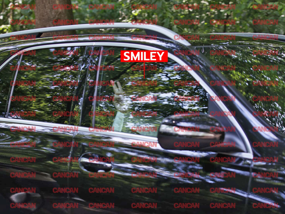 Primele imagini cu Smiley în costum de ginerică. Unde și-a petrecut artistul noaptea înainte de marele eveniment