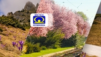 Vreme de primăvară în România! ANM anunță temperaturi de până la 25 de grade