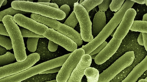 Bacterie periculoasă în Dunăre. Mai multe orașe din România, în alertă sanitară