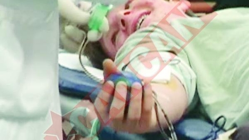 Tinuta in viata cu sange de cal si iepure