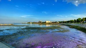 Un fenomen spectaculos s-a produs în România. Apa lacului Techirghiol a devenit roz