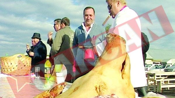 Primarul Rucarului, primul la taiat porci
