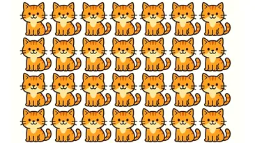 Test de logică | O singură pisică este diferită de toate celelalte. Care?