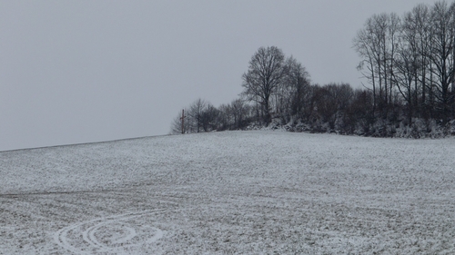 Prognoza meteo azi, 29 ianuarie 2026. Temperaturi moderate și cer predominant noros în aproape toate regiunile