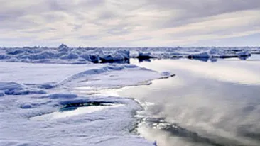 Tineti-va bine! Scoarta terestra este in miscare continua si se va muta la Nord!