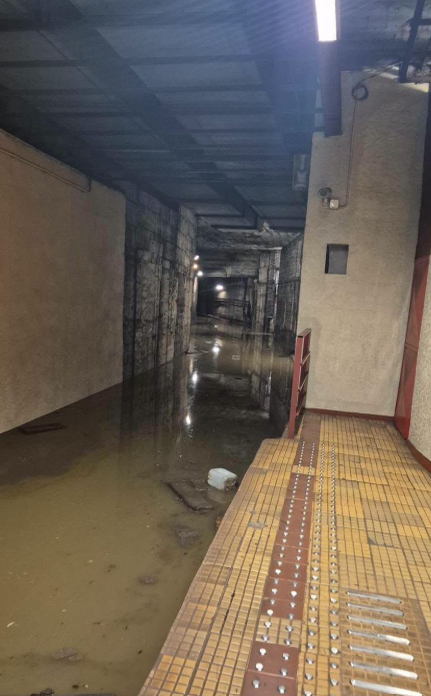 Urmările furtunii din București. Străzi blocate, copaci rupți și stații de metrou închise