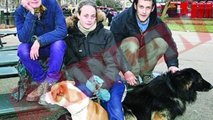 Cersetori in vila de 32 milioane ?