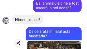 BANCUL ZILEI | "Băi animalule, cine a fost aseară la noi acasă?"