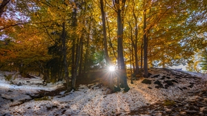 PROGNOZA METEO 30 IANUARIE: Vreme anormal de caldă! În Bucureşti vor fi 12 grade 