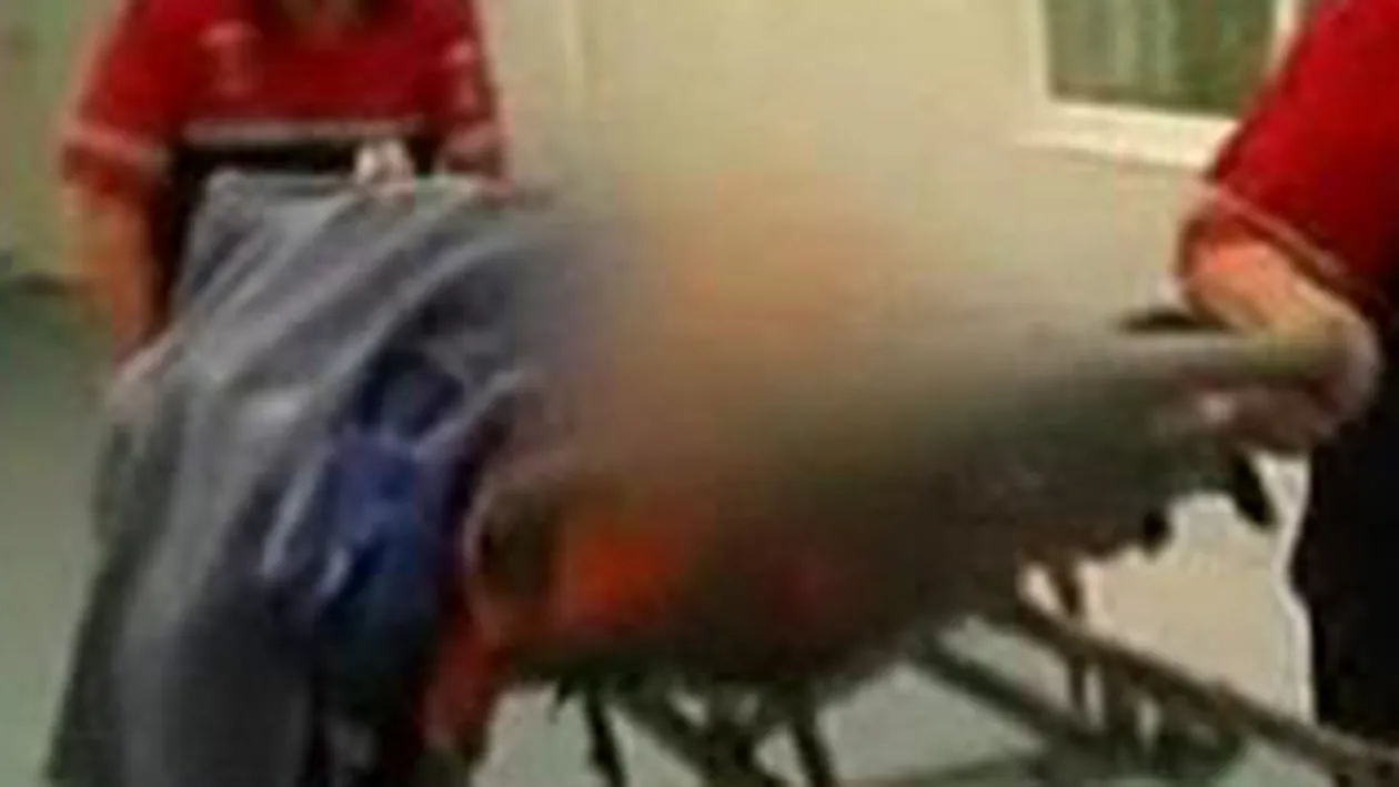 VIDEO Greseala enorma in Galati! In loc sa tranchilizeze cainii, hingherii au tranchilizat un batran!