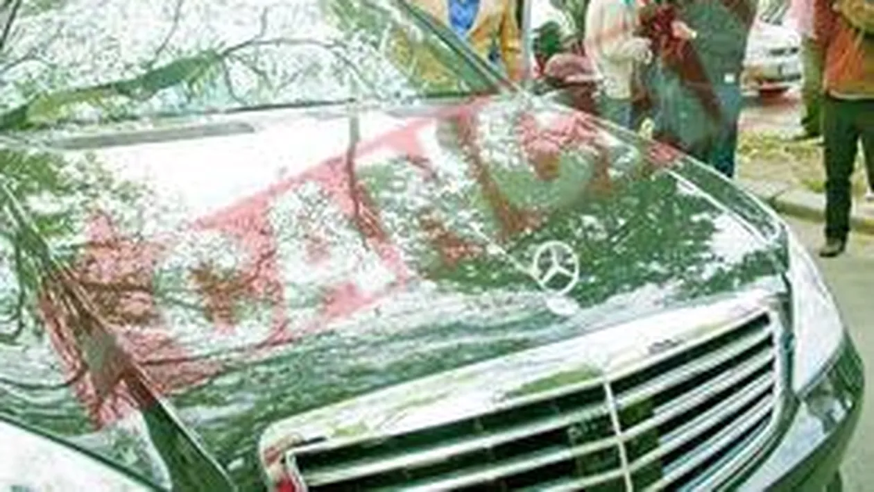 Combinatii cu hotii lui Becali!