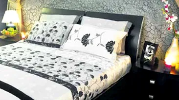 O noua fita pe piata imobiliara! Prima camera antisforait se testeaza la Paris!