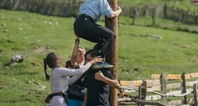 Galerie foto - poza 2