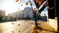 Meteorologii Accuweather anunță un octombrie cum nu prea a mai fost, în România. Temperaturi bizare în București