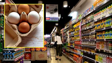 O femeie a cumpărat ouă de raţă de la supermarket şi s-a ales cu surpriza vieţii! Ce s-a întâmplat după fix 26 de zile