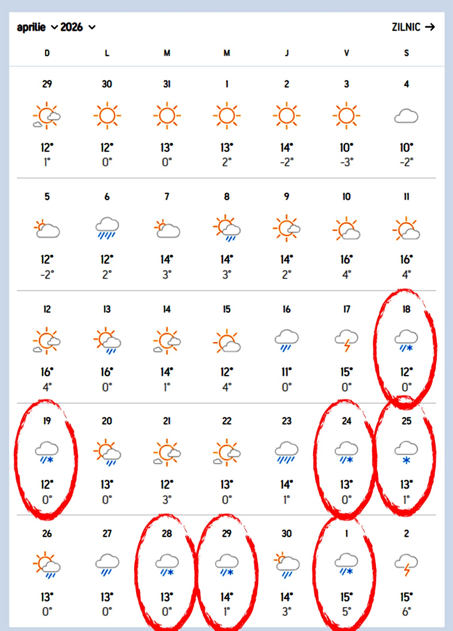Ninge în aprilie și în mai, în România!