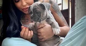 Galerie foto - poza 4