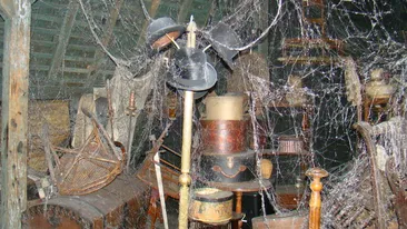 Nu o sa se mai joace niciodata in podul bunicii! Secretul teribil pe care l-a descoperit! Ce pastra batrana acolo