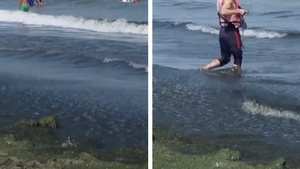 Dezgustător. Ce a apărut în Marea Neagră, după furtunile din weekend