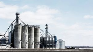 Veste uriașă pentru șoferi. Prețul petrolului a scăzut semnificativ