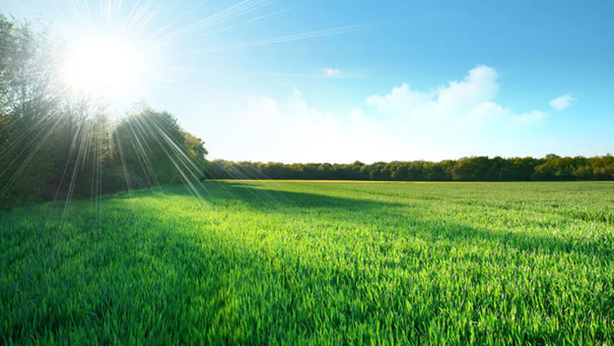 METEO 11 IULIE! Vremea va fi călduroasă, iar disconfortul termic se va accentua!