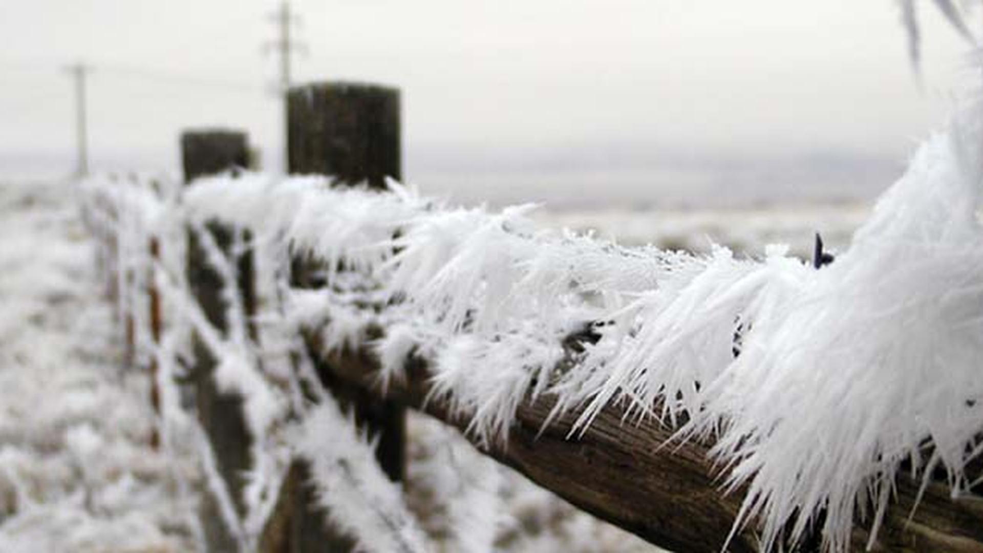 ULTIMA ORA! Vreme geroasă in toata tara! Temperatura va ajunge pana la MINUS 28 de grade Celsius