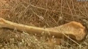 VIDEO Ramasitele a peste 1.700 de detinuti, descoperite intr-o groapa comuna la Tripoli
