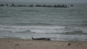 Poliţistul de 27 de ani care s-a înecat la Eforie Nord a murit chiar de ziua logodnicei, cu care se afla la mare!
