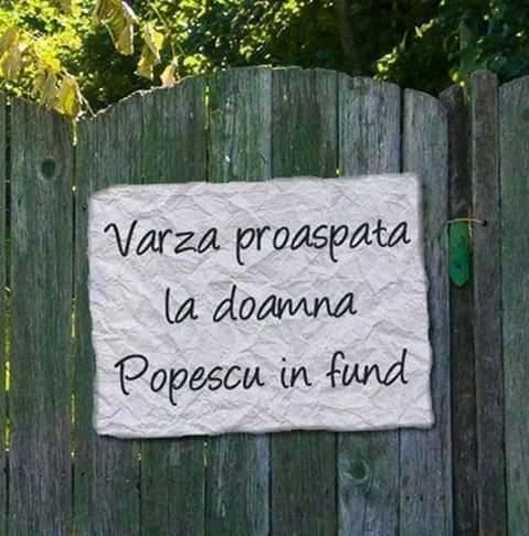 O poză făcută într-o piață din Brăila a devenit virală. Ce mesaj a scris un vânzător pe pancarta pusă lângă varză