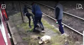 Galerie foto - poza 2