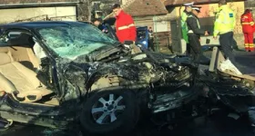 Galerie foto - poza 3