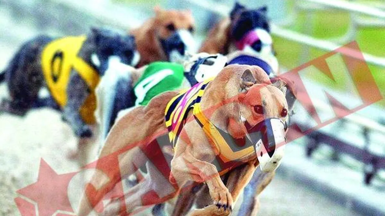 Batalia pentru tortul UEFA Champions League