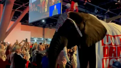 Imagini incredibile de la convenția partidului lui Trump, din Texas. Un elefant viu, îmbrăcat în mesaje republicane, a fost adus pe scenă. Ce a urmat i-a lăsat pe toți mască